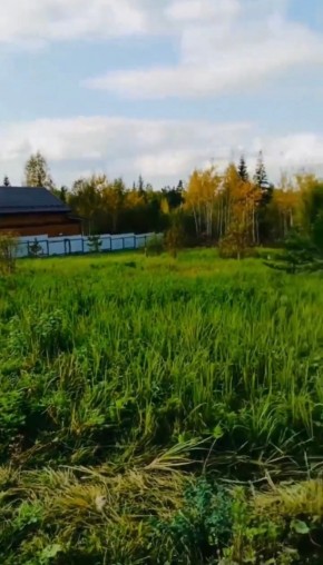 ДП Родной в Асбесте - asbest.yutvil.ru