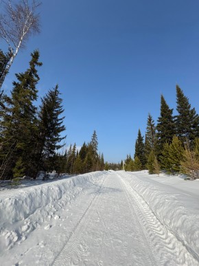 ДП Родной в Асбесте - asbest.yutvil.ru - фото 7