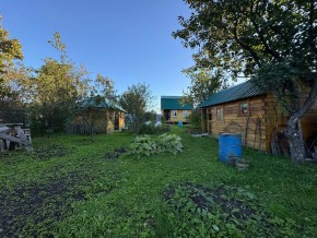Екатеренбург сад Торгмаш, СНТ  Садовод, уч. 52 в Асбесте - asbest.yutvil.ru - фото 14