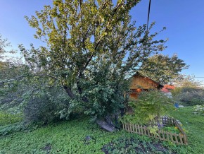 Екатеренбург сад Торгмаш, СНТ  Садовод, уч. 52 в Асбесте - asbest.yutvil.ru - фото 17