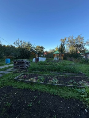 Екатеренбург сад Торгмаш, СНТ  Садовод, уч. 52 в Асбесте - asbest.yutvil.ru - фото 19