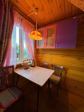 Екатеренбург сад Торгмаш, СНТ  Садовод, уч. 52 в Асбесте - asbest.yutvil.ru - фото 4