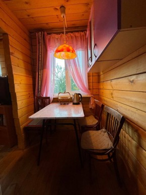 Екатеренбург сад Торгмаш, СНТ  Садовод, уч. 52 в Асбесте - asbest.yutvil.ru - фото 5