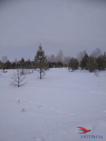 Земельный участок поселок Баженово в Асбесте - asbest.yutvil.ru - фото 5
