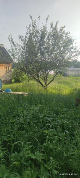 г Верхняя пышма, СНТ Мираж, уч.№ 99 в Асбесте - asbest.yutvil.ru - фото 19