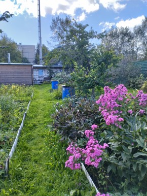 Коллективный сад номер 7, участок 58 в Асбесте - asbest.yutvil.ru - фото 23