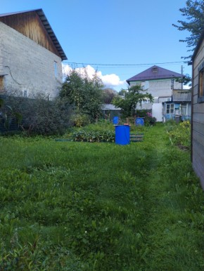 Коллективный сад номер 7, участок 58 в Асбесте - asbest.yutvil.ru - фото 26