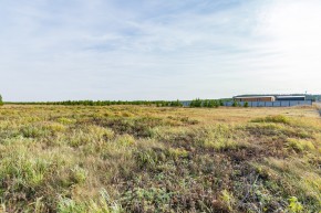 Российская Федерация, Свердловская область, Сысертский городской округ, территория садоводческого некоммерческого товарищества Бобровские дачи, улица Каштановая, земельный участок № 38 в Асбесте - asbest.yutvil.ru - фото 24