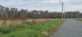 с. Новоалексеевское, КП Оникс,  в Асбесте - asbest.yutvil.ru - фото 2