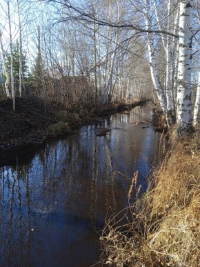 СНТ Берёзка в Асбесте - asbest.yutvil.ru - фото 14