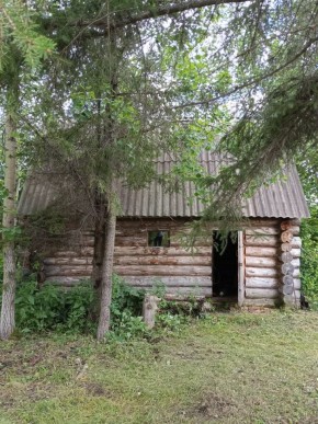 СНТ Калининец-10, уч. 1-11-3 в Асбесте - asbest.yutvil.ru - фото 2 СНТ Калининец-10, уч. 1-11-3 в Асбесте - asbest.yutvil.ru - фото 2