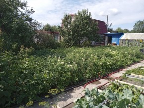 СНТ Медик-2 в Асбесте - asbest.yutvil.ru - фото 6