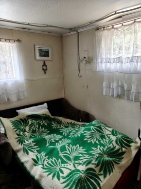 СНТ Родники в Асбесте - asbest.yutvil.ru - фото 10 СНТ Родники в Асбесте - asbest.yutvil.ru - фото 10