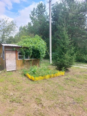 СНТ Родники в Асбесте - asbest.yutvil.ru - фото 2 СНТ Родники в Асбесте - asbest.yutvil.ru - фото 2