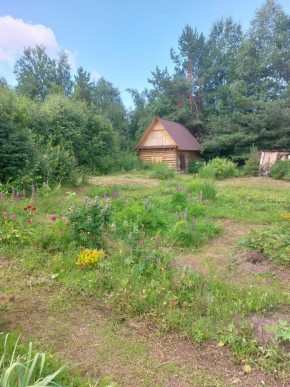 СНТ Родники в Асбесте - asbest.yutvil.ru - фото 3 СНТ Родники в Асбесте - asbest.yutvil.ru - фото 3