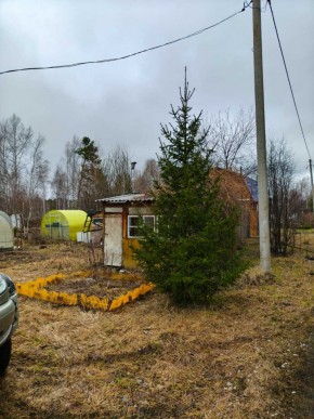 СНТ Родники в Асбесте - asbest.yutvil.ru - фото 5 СНТ Родники в Асбесте - asbest.yutvil.ru - фото 5