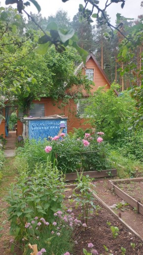 СНТ Садовод-24 в Асбесте - asbest.yutvil.ru