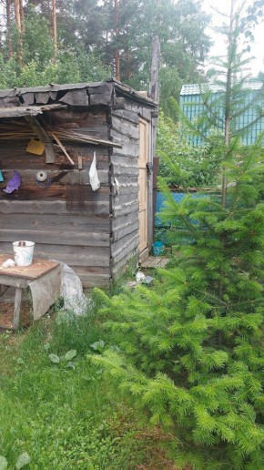 СНТ Садовод-24 в Асбесте - asbest.yutvil.ru - фото 13