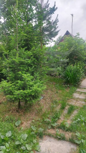 СНТ Садовод-24 в Асбесте - asbest.yutvil.ru - фото 15