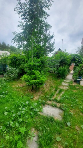 СНТ Садовод-24 в Асбесте - asbest.yutvil.ru - фото 16