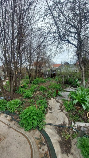 СНТ Сирень, уч. 38 в Асбесте - asbest.yutvil.ru - фото 7