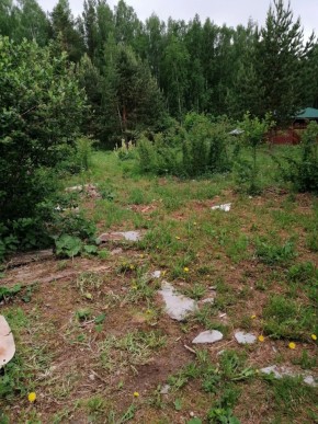 СТН Семья №112, Верхняя пышма на землях бывшего подсобного хозяйтва верхнепышминского опытного завода в Асбесте - asbest.yutvil.ru - фото 17 СТН Семья №112, Верхняя пышма на землях бывшего подсобного хозяйтва верхнепышминского опытного завода в Асбесте - asbest.yutvil.ru - фото 17
