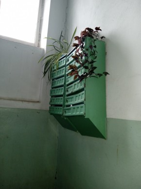 ул. Бажова,11 в Асбесте - asbest.yutvil.ru - фото 3