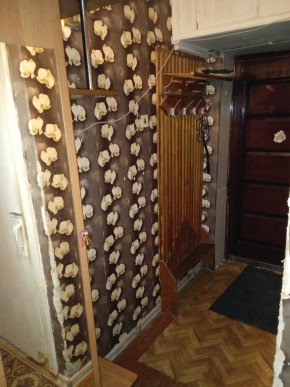 ул. Бажова,11 в Асбесте - asbest.yutvil.ru - фото 9