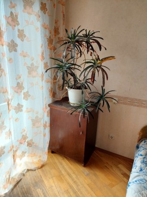 ул. Индустрии,29 в Асбесте - asbest.yutvil.ru - фото 3