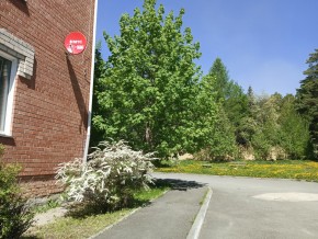 ул. Сосновая, 8 в Асбесте - asbest.yutvil.ru - фото 25