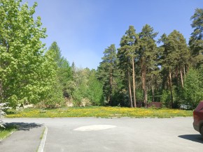 ул. Сосновая, 8 в Асбесте - asbest.yutvil.ru - фото 26