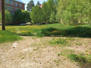 ул. Сосновая, 8 в Асбесте - asbest.yutvil.ru - фото 33