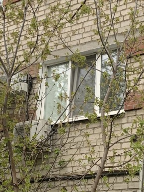ул. Таганская,8 в Асбесте - asbest.yutvil.ru - фото 14