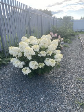 ул. Весенняя,12 в Асбесте - asbest.yutvil.ru - фото 20