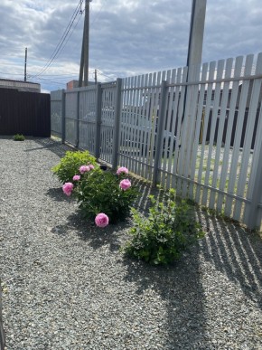 ул. Весенняя,12 в Асбесте - asbest.yutvil.ru - фото 22